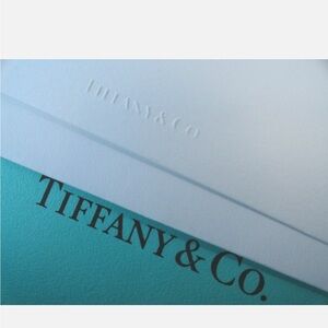 Tiffany&Co white wallet size note cards with envelope approximately 4 cards NEW
